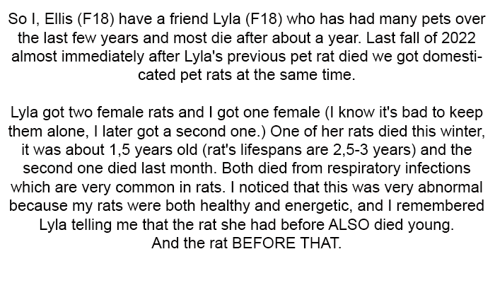 OP Starts the Pet Story