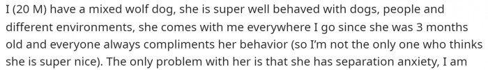 He starts off by describing what type of dog he has and how people tend to like the dog when they're out and about.