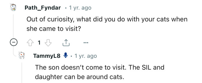 Since the boy is allergic to cats, he doesn’t join the family to visit OP’s home