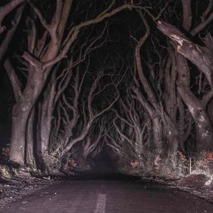 44. This Road In Northern Ireland