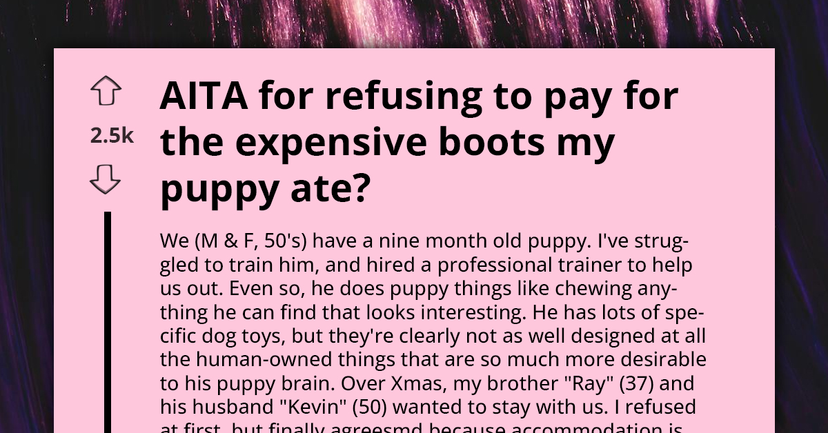 Woman Refuses To Replace Brother-In-Law's $650 Boots Destroyed By Her Dog After Warning Him To Never Leave Stuff Lying Around