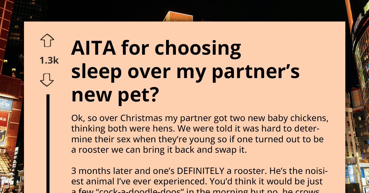 Man Refuses To Stay Over Because Partner Keeps Illegal Rooster That Screams All Night