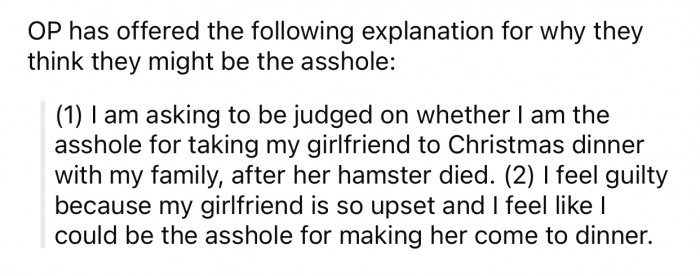 OP thinks he might be the a-hole in this scenario for the following reason: