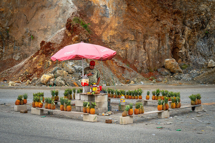 Unearthed® Food For Sale: Ananas On The Road By Valentina Bollea