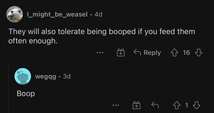 Another extremely important piece of information about prairie dogs.