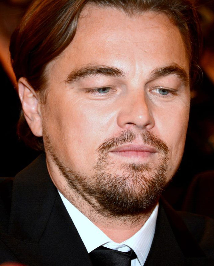 12. Leonardo DiCaprio