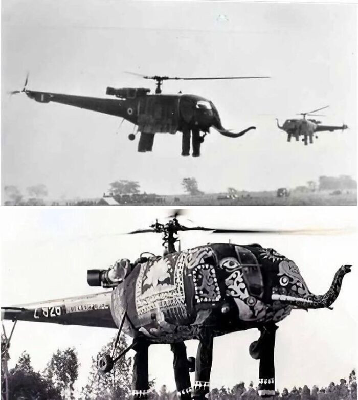 "Heliphants, Indian Air Force Helicopter Unit 116 Were Hal Chetak Helicopters Covered With Elephant-Shaped Decorations Used In Air Displays, 1970s"