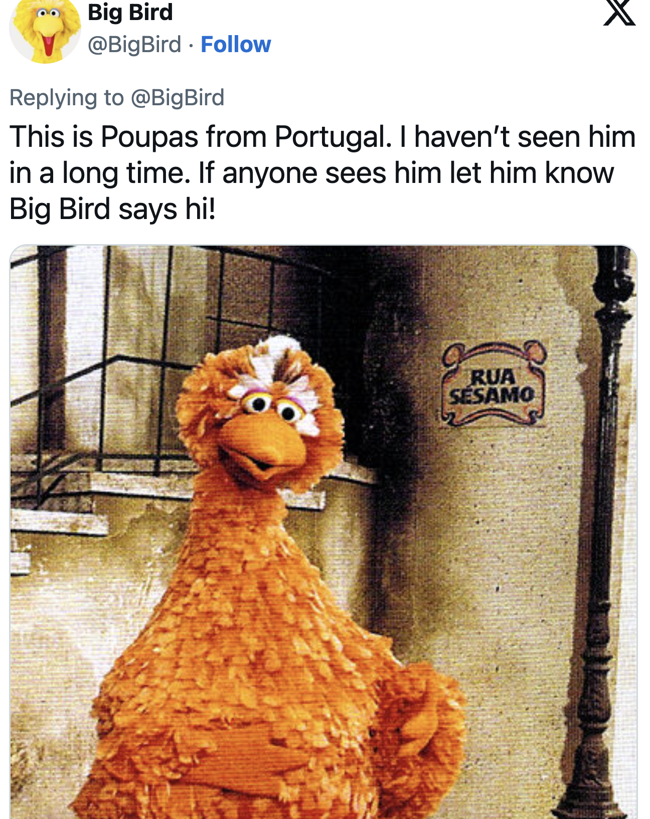 Poupas from Portugal