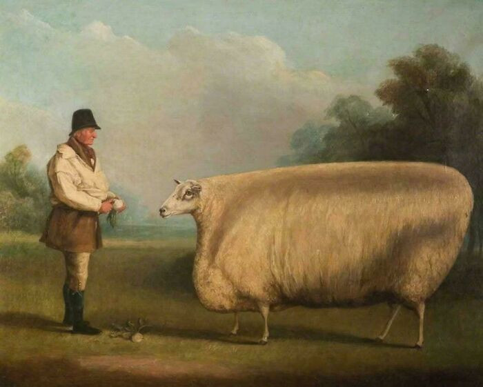 "During The 19th Century, Rich British Landowners Ordered Exaggerated Portraits Of Their Livestock As Symbols Of Wealth, Frequently Depicting Them With Unusually Large Rectangular Bodies"