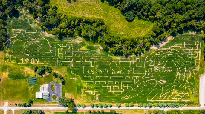 This corn maze is a true showcase of someone’s talent with how detailed and interesting it is.