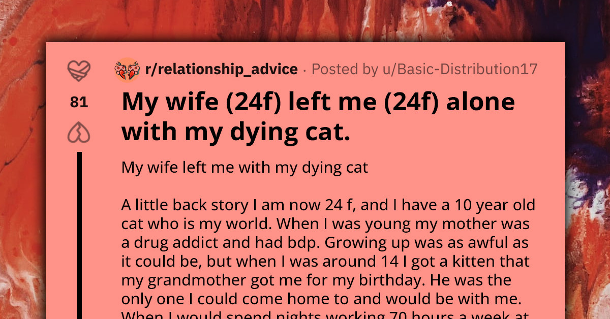 Redditor Asks For Advice After Wife Abandoned Her While Her Cat Was Dying