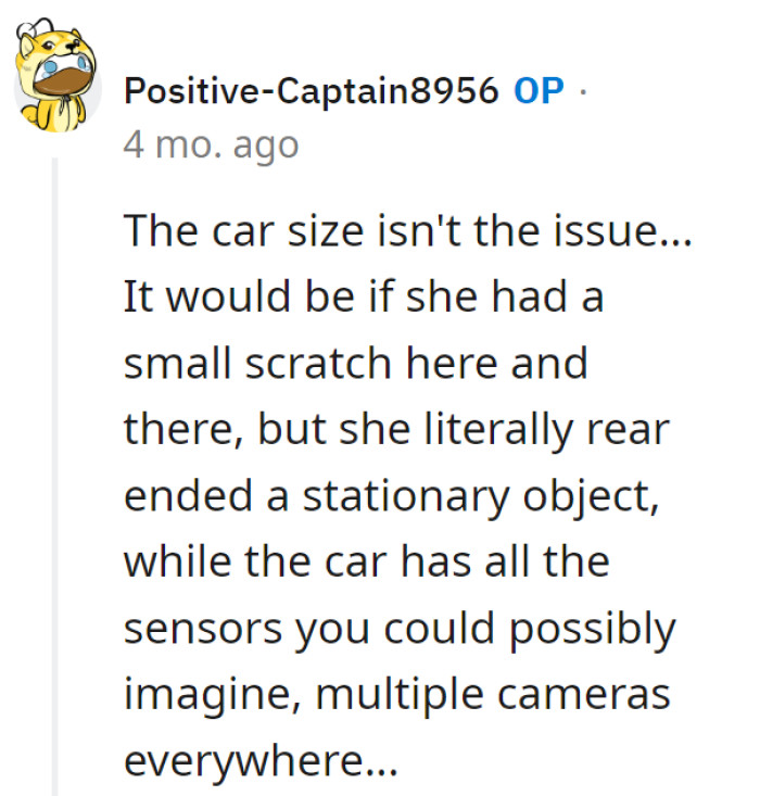 Agreed, car size isn't the problem when sensors and cameras abound. It's a 