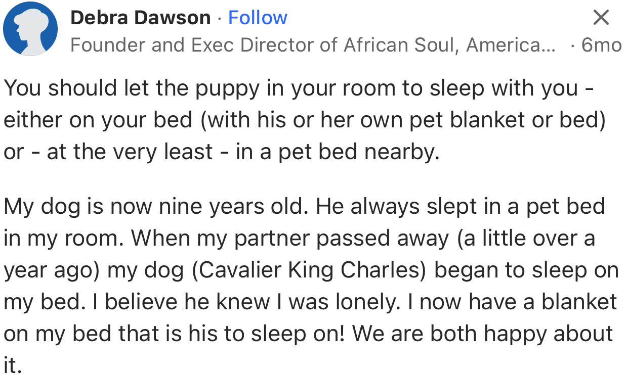 OP might need to bring their pet in