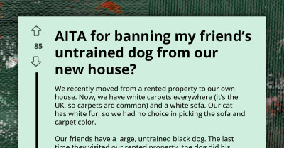 Friendship Ends Over Banning Untrained Dog in New Home Due to Mess and Fear for Cat