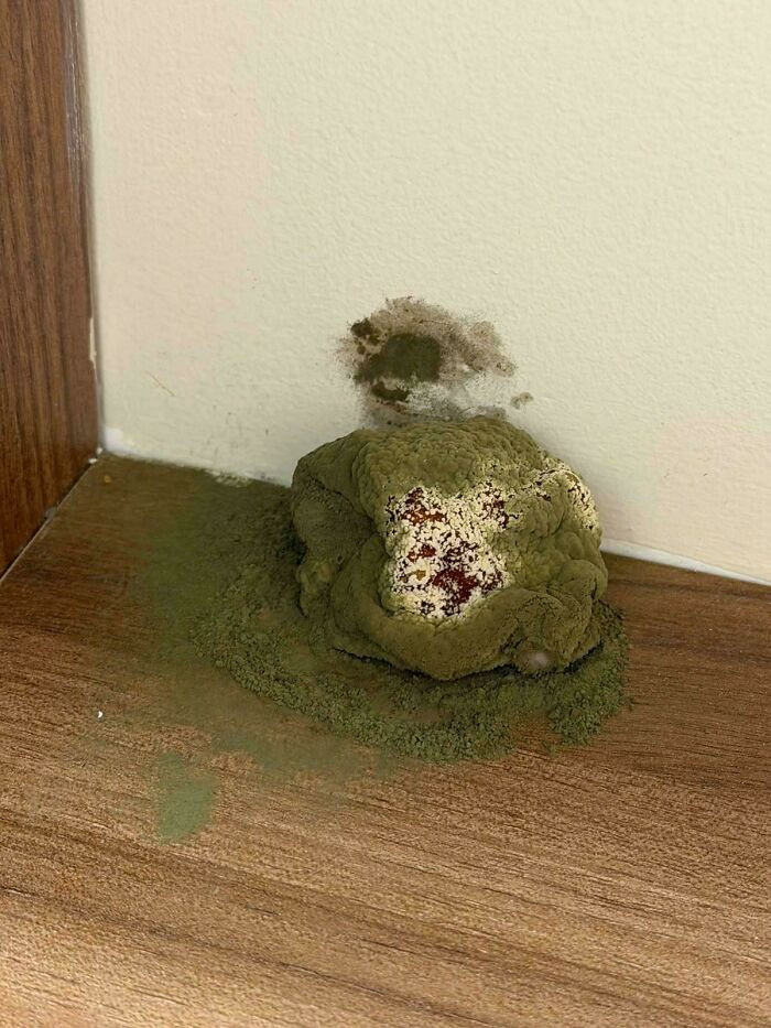 "Found Behind Fruit Bowl"