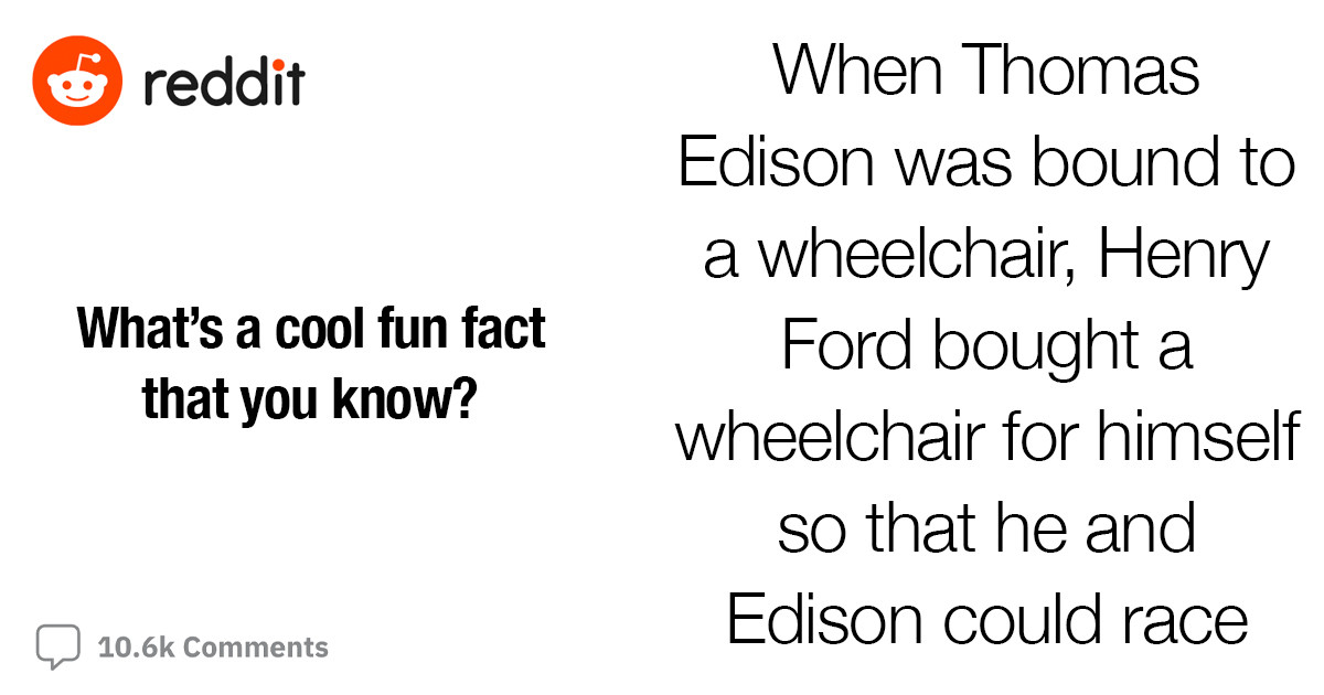 40 People Share The Coolest, Most Interesting, And Craziest Facts They Know