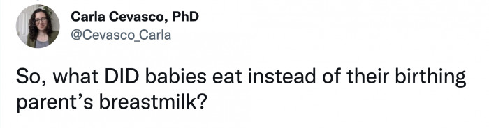 So how did babies survive back then if breastfeeding wasn't an option and infant formula hadn't been invented yet?