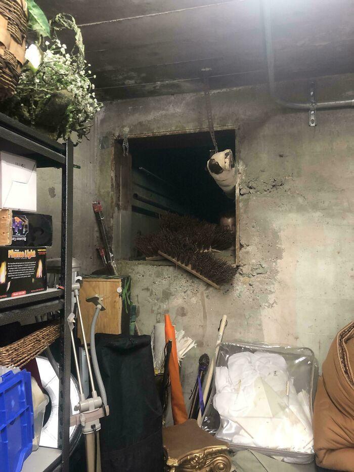 "I regret zooming in on the picture."
