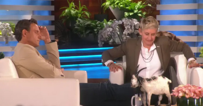 10. Moment when Tony Goldwyn also fell asleep on Ellen