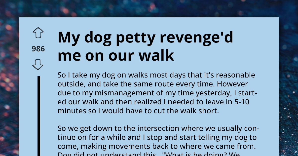 Dog Deliberately Tangles Owner In Leash As Payback For Shortened Walk