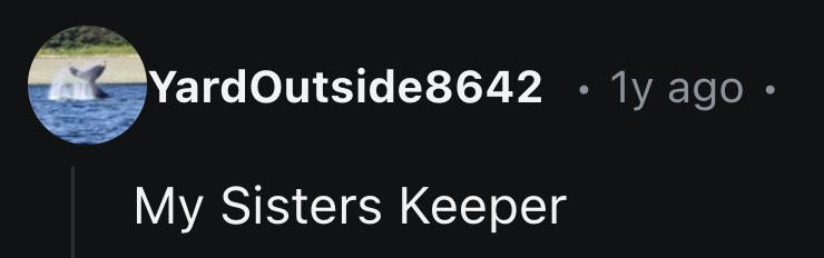 15. In this Jodi Picoult classic, a 13-year-old sues her parents after she is told to donate her kidney to her older sister.