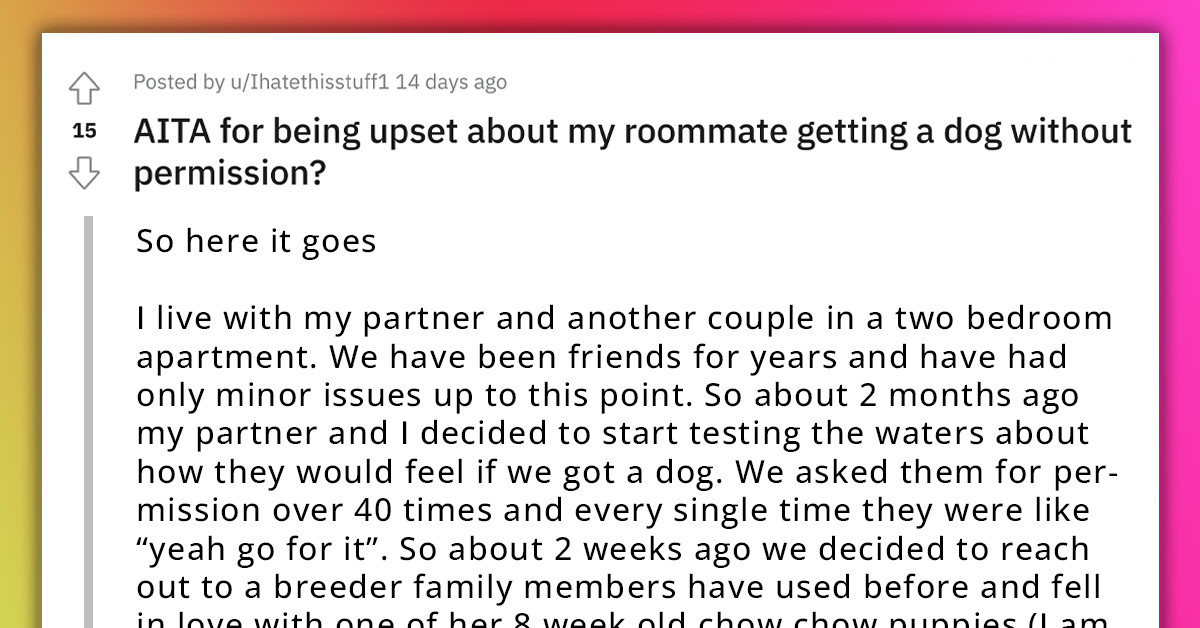 Redditor Feels Disrespected After Their Roommates Adopted A Puppy Without Their Approval