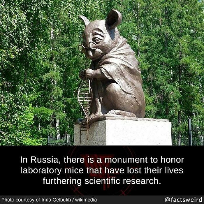 17. Russia erected a monument to honor laboratory mice used in scientific research