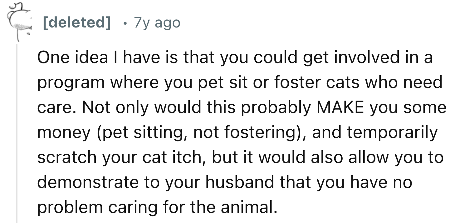 Fostering Cats That Need Care