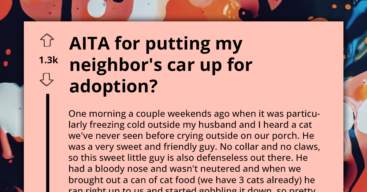 Compassionate Couple Rescues Abandoned Cat Only To Discover It Belongs To Their Neighbor