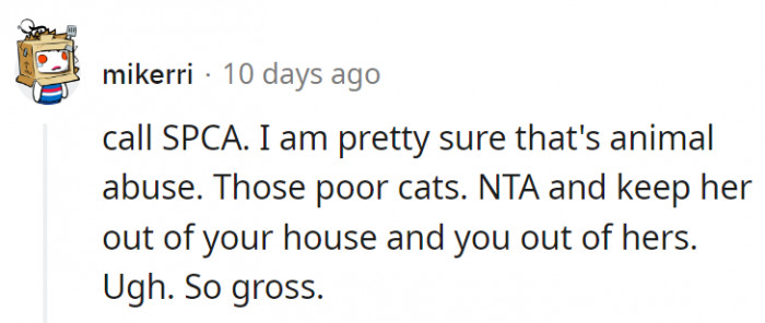 13. Those cats need proper care that MIL might not be able to provide