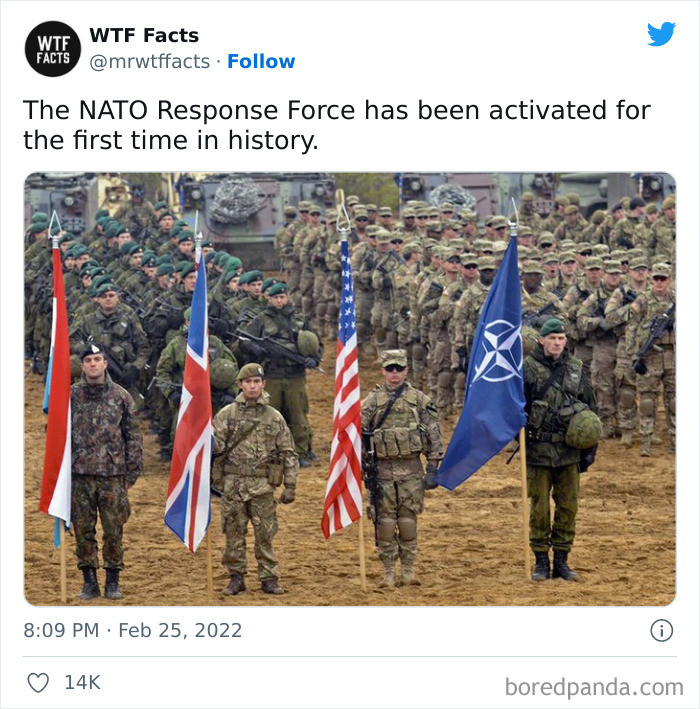 46. The NATO response force