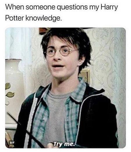 HP fans basically grew up in Hogwarts; you can’t argue with them.