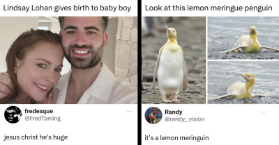 Here Are 40 Hilarious Photos And Memes To Keep You Entertained