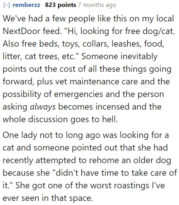 Believe it or not, there are actually people out there looking for a free cat.