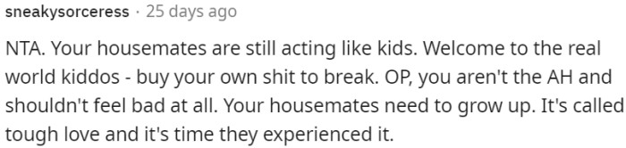 The housemates' behavior is immature and irresponsible