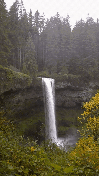 11. Silver Falls State Park in Oregon
