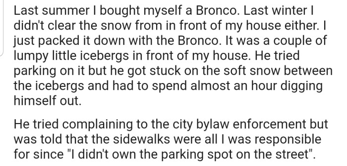 OP decided not to clear the snow in front of their house again