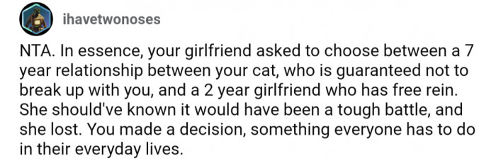 The relationship between OP and his cat is guaranteed to last the cat's entire life