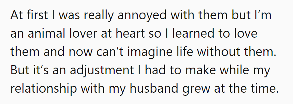 From annoyance to affection, embracing cats while love for her husband blossomed.