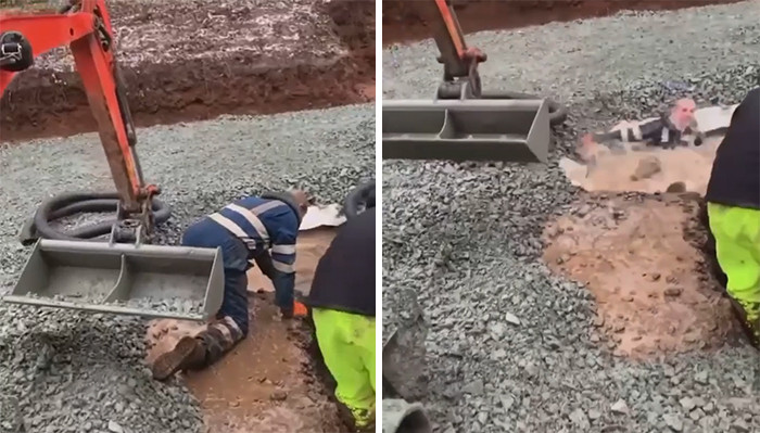 26. Lol... That ended well