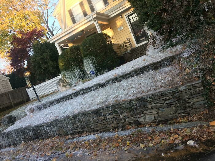 "Forgot To Turn Off His Sprinklers"