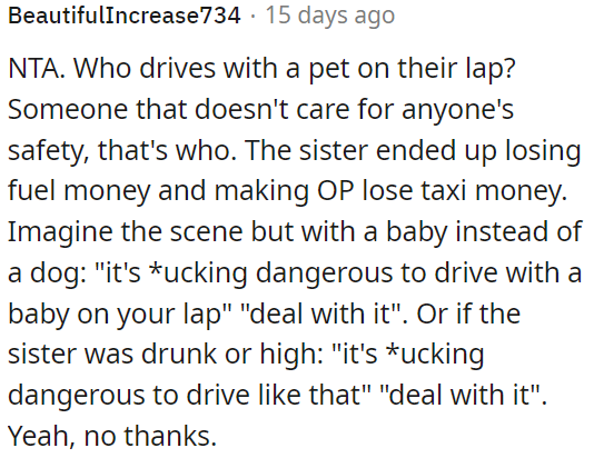 Driving with a pet on your lap is unsafe and inconsiderate.