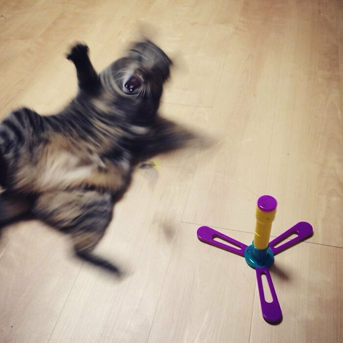 28. Exorcism in Progress