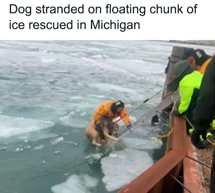 48. Hopefully, he's found a home where he can nap all day on a warm bed