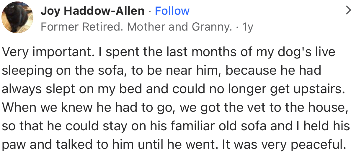 “Very important. I spent the last months of my dog's life sleeping on the sofa to be near him.”
