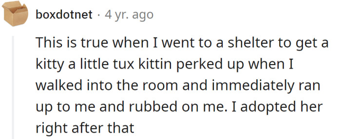 A Reddit User Agreed