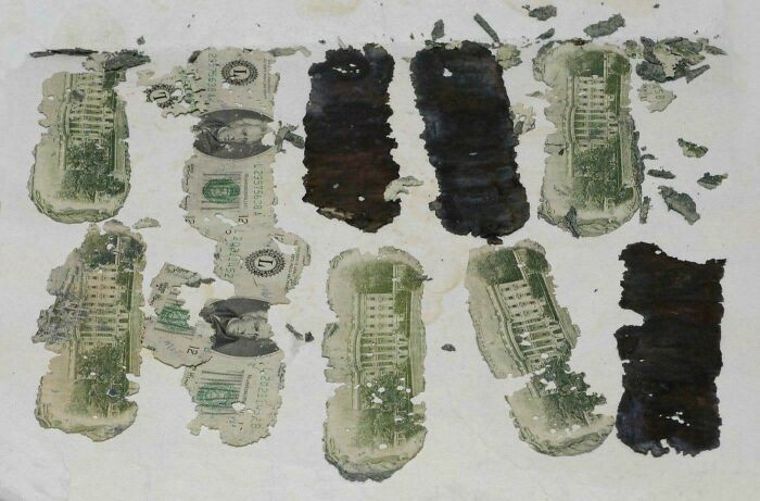 "An 8-Year-Old Found $5,800 Of D. B. Cooper's Ransom Rotting Beside The Columbia River In 1980 More Than Eight Years After The Hijacker Vanished"