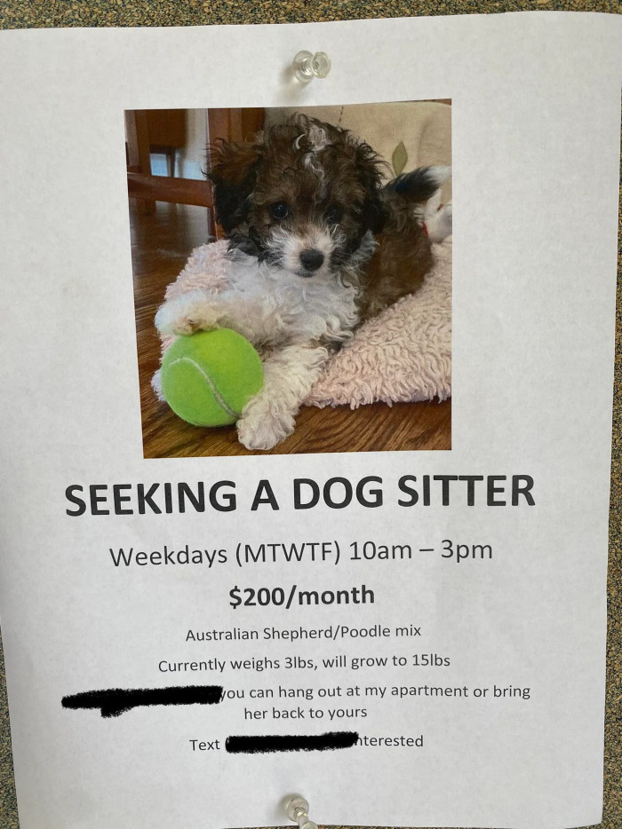 This dog owner needs a dogsitter. But they’re definitely going to be searching for a looooong time
