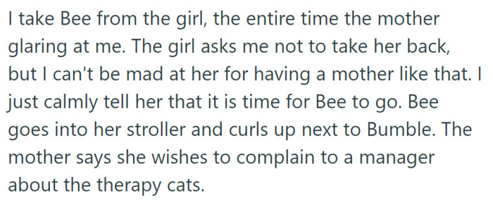 She took Bee back from the girl, and Bee returned to her stroller with Bumble, while the mother expressed her desire to complain about the therapy cats to the manager.