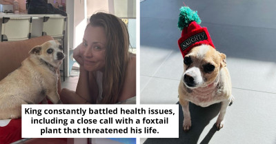 Kaley Cuoco Issues Moving Farewell In Loving Memory Of Her Beloved Rescue Pup Who Passed Away Too Soon